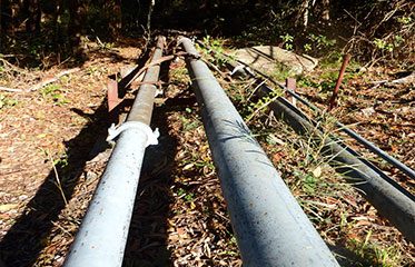 Pipeline Pipes Entering Forest — Mannix Plumbing In QLD